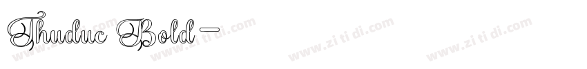 Thuduc Bold字体转换